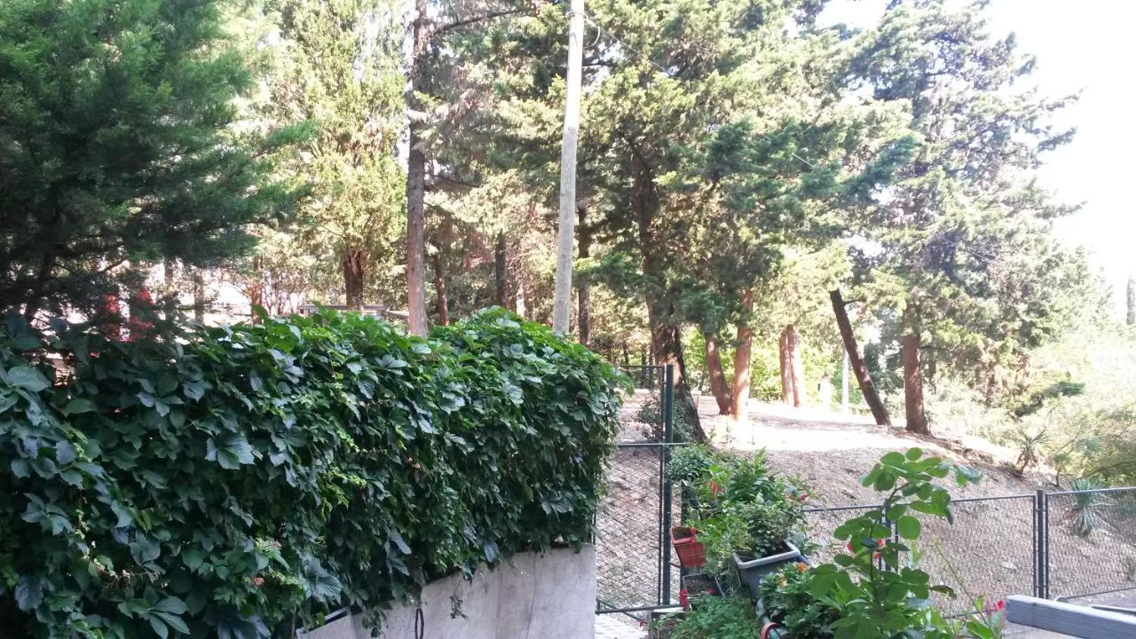 Anamarija * Dubrovnik
